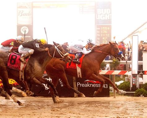 preakness stakes handicapping|5 Preakness handicapping trends to consider .